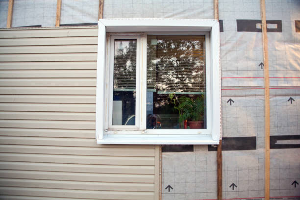 Best Insulated Siding Installation  in Tustin, CA